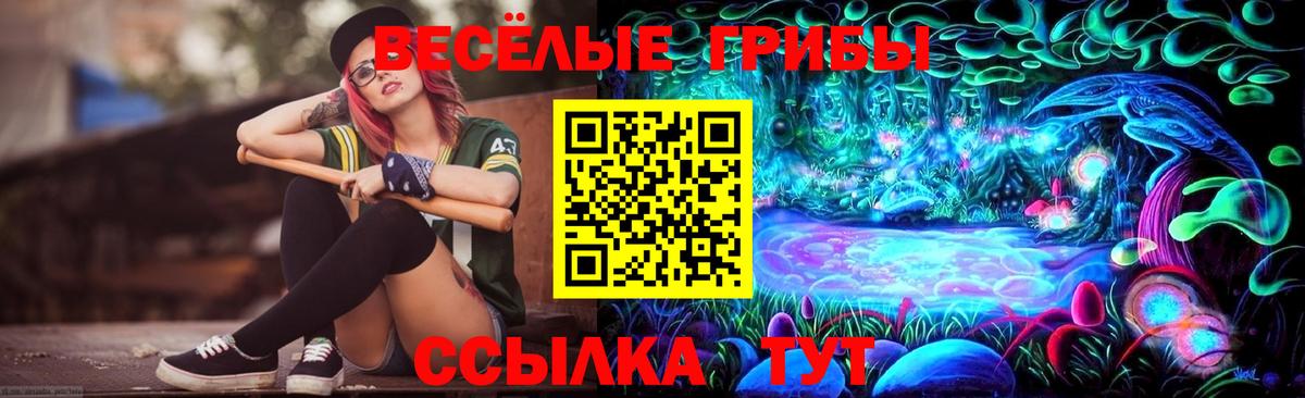 Псилоцибиновые грибы Cubensis Краснокаменск